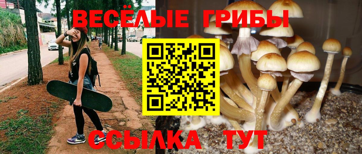 Псилоцибиновые грибы мицелий Заречный